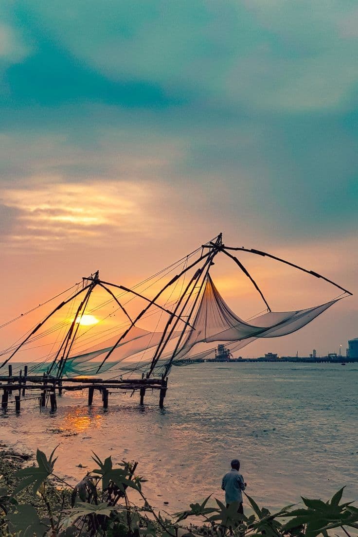 Arrival in Kochi