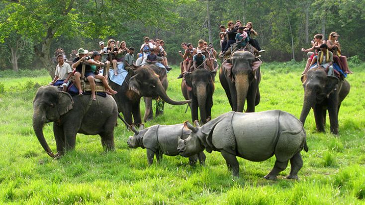 Chitwan